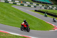 cadwell-no-limits-trackday;cadwell-park;cadwell-park-photographs;cadwell-trackday-photographs;enduro-digital-images;event-digital-images;eventdigitalimages;no-limits-trackdays;peter-wileman-photography;racing-digital-images;trackday-digital-images;trackday-photos